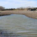 Acqua, appello di Coldiretti Puglia: «Servono invasi, reti e costi sostenibili»