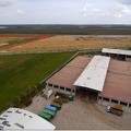 Una discarica ha preso fuoco nei pressi di Cerignola
