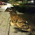 Maltempo, crolla una strada ad Adelfia