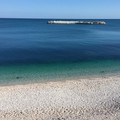 Alga tossica, cala l’allarme sul litorale: migliorano Bisceglie e Molfetta