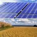 La Corte Costituzionale ferma l'installazione degli impianti fotovoltaici sul suolo agricolo