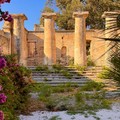 Riapre il Giardino Telesio: finalmente un polmone verde nella zona sud di Trani