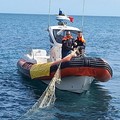 Pesca sottocosta, operazione della Guardia Costiera a Bisceglie