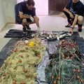 Attività di pesca illegale: a Bisceglie sanzione di 2.000 euro e ritiro di 10kg di prodotto ittico