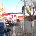 Una ordinanza per potature, rimozione e taglio alberature e vegetazione pericolose a Giovinazzo