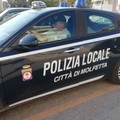 Tre ragazzi di Molfetta fermati dalla Polizia locale: in auto con droga e armi