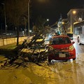 Tragedia sfiorata ieri sera a Bari: albero cade su un'auto in corsa