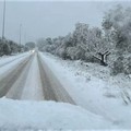 Neve in Puglia, oggi scuole chiuse in diversi comuni: l'ordinanza