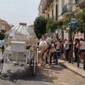 Troppo caldo, cavallo in fin di vita in centro a Trani: traffico in tilt