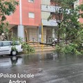 Interventi ad Andria della Polizia Locale per la sicurezza urbana