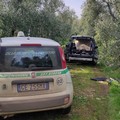 Ritrovate due auto rubate e cannibalizzate nell'agro di Corato
