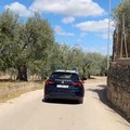 Catturato latitante ad Andria, si nascondeva in una villa con piscina