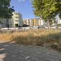 Piazza Madre Teresa di Calcutta: a Trani i cittadini chiedono aiuto