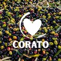 Nasce “Corato Cultivar Bellezza”, dove la Coratina diventa esperienza