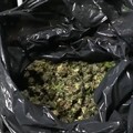 Scoperto a Cerignola un bunker per la produzione di marijuana: 5 arresti