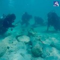 Marina di Ugento, scoperti in mare pezzi di artiglieria del Settecento