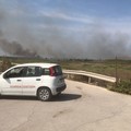 Un altro incendio a Barletta: prendono fuoco delle sterpaglie