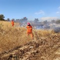 Vasto incendio nell'agro di Minervino Murge: bruciati 70 ettari di terra