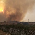 Incendi in Puglia: 15 anni per ricostruire i boschi distrutti. Il 60% dei roghi è volontario