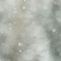 Meteo, temperature in discesa: arriva la neve in Salento