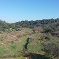 Riconoscimento giuridico del parco di Lama Balice a Bitonto: ieri l'incontro