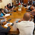 Lupo a Noicattaro, il DNA conferma: è un giovane esemplare appenninico. Paolicelli: «Task force rafforzata»