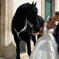 La sposa a cavallo di Casamassima: lo scatto iconico impazza sul web