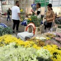 Accoglienza migranti, il Comune di Terlizzi risponde a Coldiretti Puglia