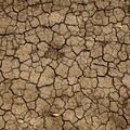 Siccità, anche Cerignola nell'allarme di Coldiretti Puglia: in Capitanata picchi di 38°