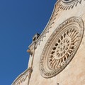 Rosoni di Puglia, una richiesta per farli riconoscere come Patrimonio Mondiale UNESCO