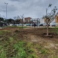 Andria ammessa a finanziamento: assegnati 10mila euro per il verde pubblico