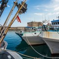 Pesca, l'assessore regionale all’Agricoltura incontra una delegazione delle marinerie pugliesi