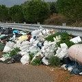 Rifiuti abbandonati, dalla Regione Puglia fondi per il risanamento ambientale