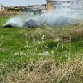Vanno a fuoco rifiuti nella zona del Cimitero a Cerignola