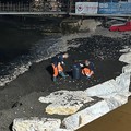 Spiagge, al via la rimozione di alghe al Cagnolo a Bisceglie