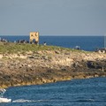 Sbarco di 77 migranti nel porto di Santa Maria di Leuca: la metà sono minori