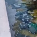 Andria, la fontana di Largo Grotte scambiata per un lavatoio: diversi capi di abbigliamento abbandonati nell'acqua