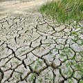Siccità, scenario critico in provincia di Foggia: l’allarme della Coldiretti Puglia