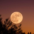 Visibile anche dalla Puglia la Superluna piena del Castoro