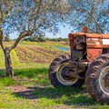PSR Puglia 2022: sono 821 i progetti di giovani agricoltori ammessi a istruttoria
