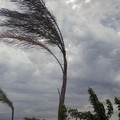 Forte vento previsto sulla Puglia: allerta gialla oggi e domani