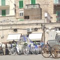 Cavalli, carrozza e squilli di tromba: un matrimonio surreale a Molfetta