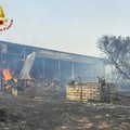 Incendio a Gioia del Colle in un'azienda agricola. Ingenti danni