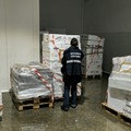Sequestrati 5 quintali di prodotti ittici irregolari nella BAT