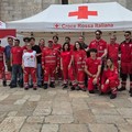 «La strada non perdona»: l’appello dei giovani della Croce Rossa di Barletta per la sicurezza stradale
