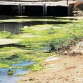 Rebus Canale H a Barletta: per Arpa acque balneabili, ma resta il divieto di balneazione