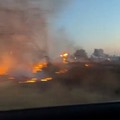Allarme incendi in provincia di Lecce: migliaia di ulivi distrutti