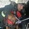 I vigili del fuoco salvano a Bisceglie un cane randagio caduto accidentalmente in un pozzo