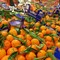 Abusivismo commerciale a Corato: l'esasperazione dei fruttivendoli legali