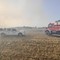 Oltre 800 ettari in fumo sulla Murgia minervinese: indagano i Carabinieri forestali di Altamura e di Andria